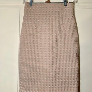 H&M High-Wasted Pencil Skirt